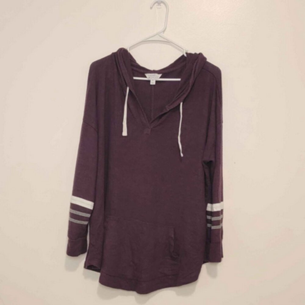 Market & Spruce Kallon brushed knit hoodie